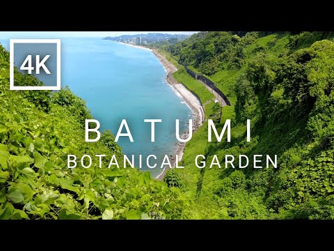 Batumi Botanical Garden Tour / ბათუმის ბოტანიკური ბაღი [4K]